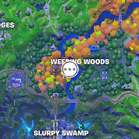 Willow Location